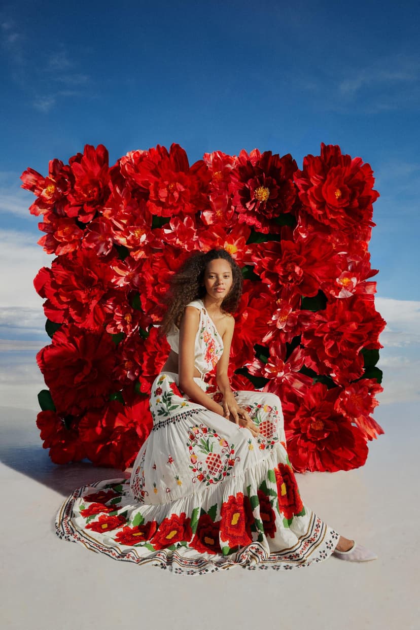 FARM Rio brand image